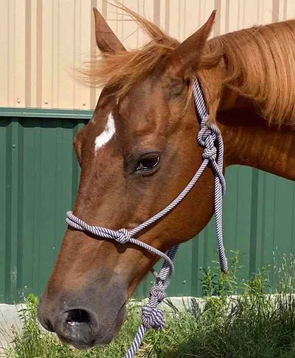 Stillwater Equine Veterinary Services Picture 3