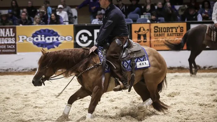 Stillwater Equine Veterinary Services Picture 5