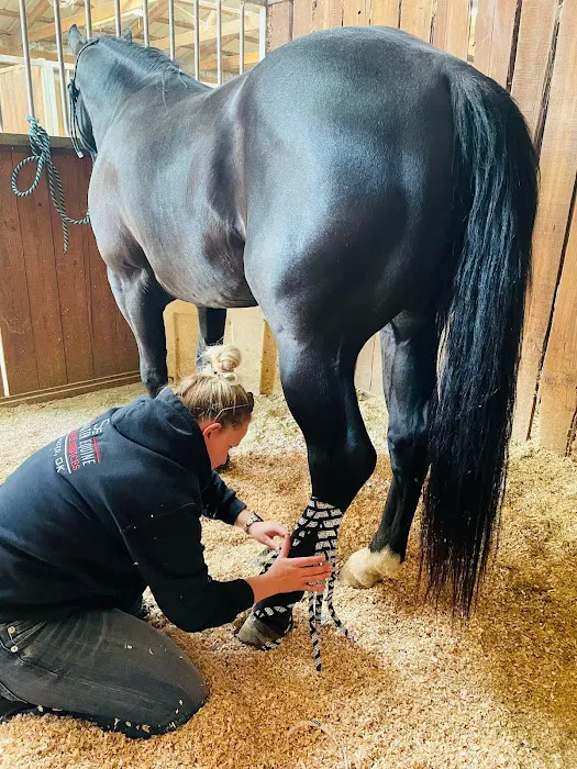 Stillwater Equine Veterinary Services Picture 10