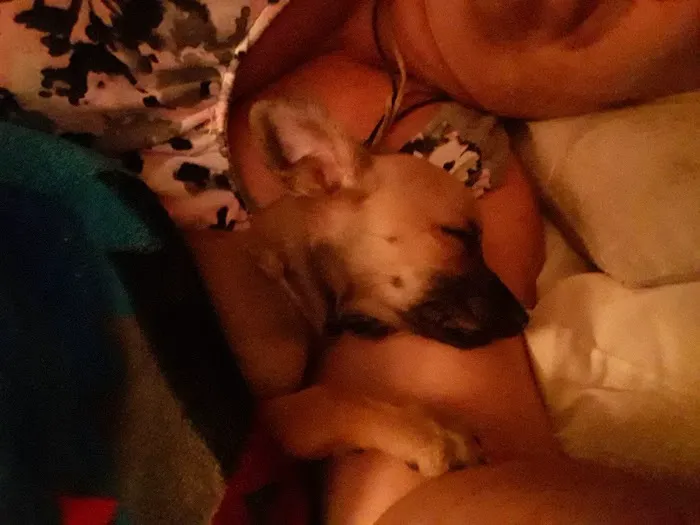 Osage Animal Clinic Picture 4