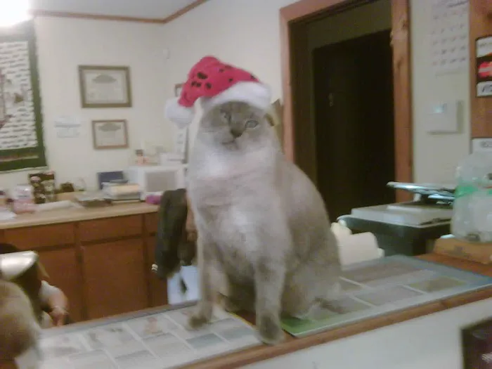 Johnston Veterinary Clinic Picture 2