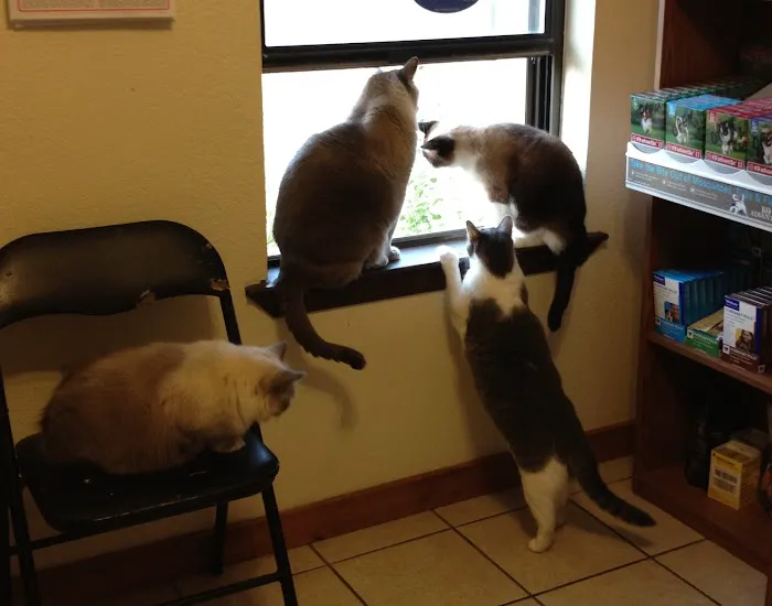 Johnston Veterinary Clinic Picture 1