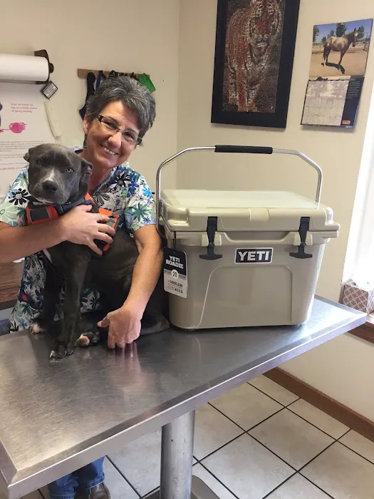 Johnston Veterinary Clinic Picture 7