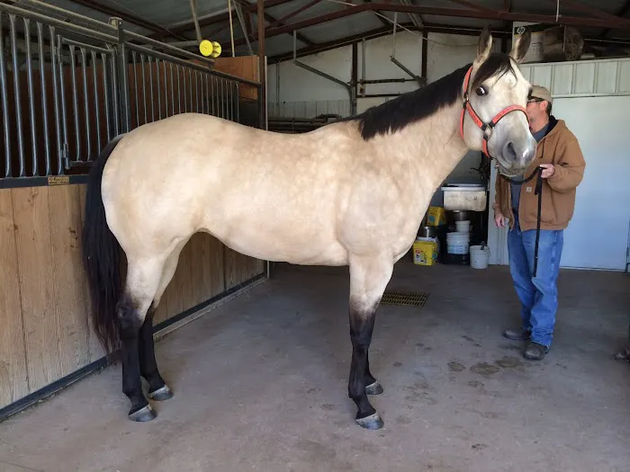 Johnston Veterinary Clinic Picture 10