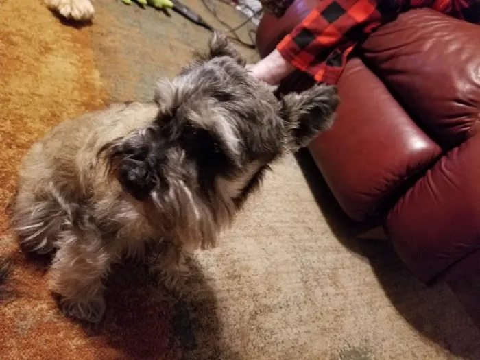 Hilltop Veterinary Clinic Picture 2