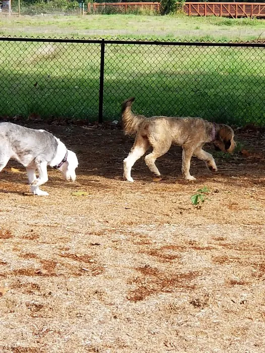 Hilltop Veterinary Clinic Picture 3