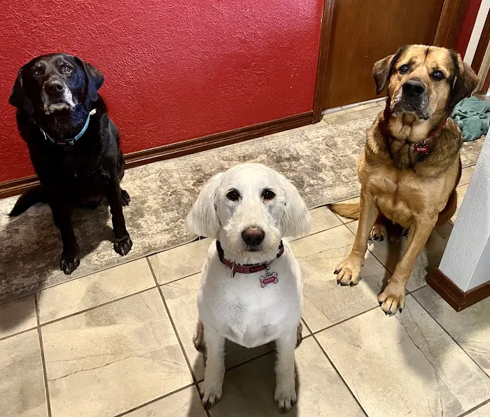 Great Plains Veterinary Services, LLC Picture 4