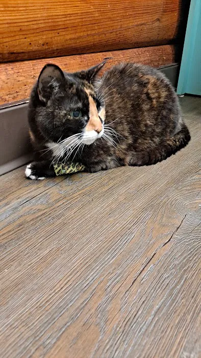 Great Plains Veterinary Services, LLC Picture 2