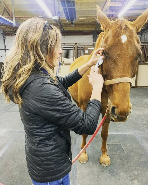 Great Plains Veterinary Services, LLC Picture 6