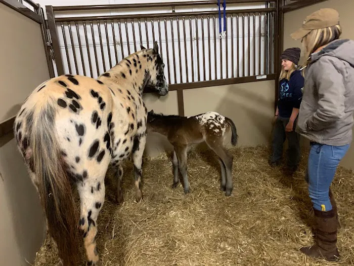 Great Plains Veterinary Services, LLC Picture 5