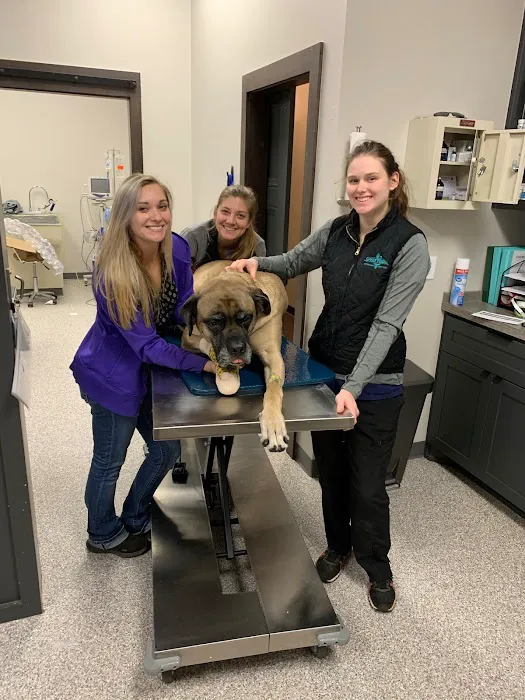 Great Plains Veterinary Services, LLC Picture 9