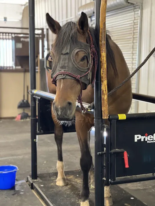 Great Plains Veterinary Services, LLC Picture 8