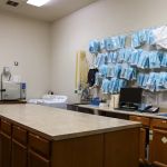 Oakridge Equine Hospital