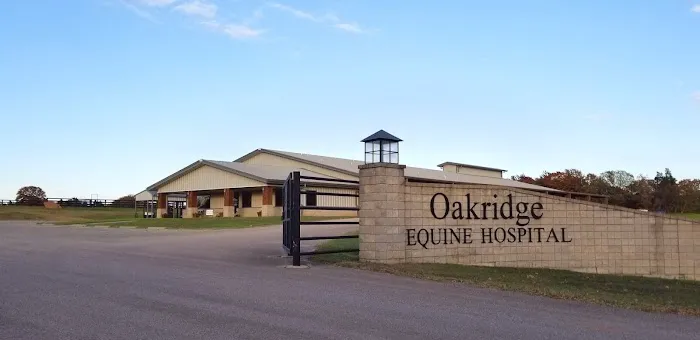 Oakridge Equine Hospital Picture 3