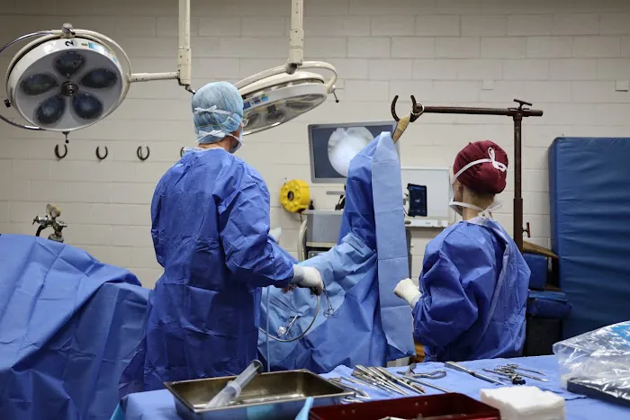 Oakridge Equine Hospital Picture 7