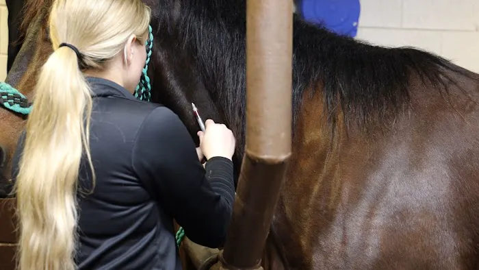 Oakridge Equine Hospital Picture 6