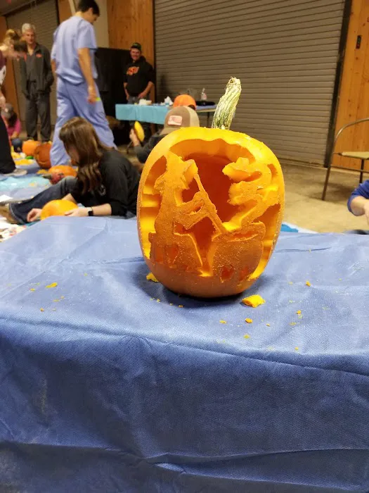 Oakridge Equine Hospital Picture 8