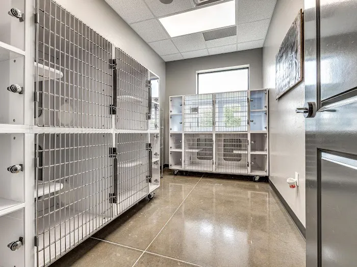 Edmond East Animal Hospital Picture 1