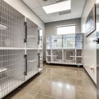 Edmond East Animal Hospital ico