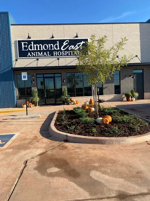 Edmond East Animal Hospital Picture 6