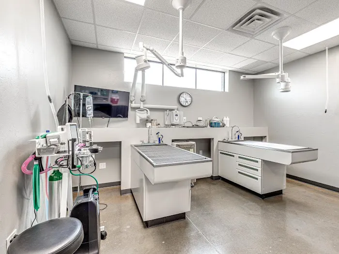 Edmond East Animal Hospital Picture 4