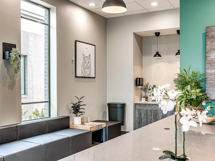 Edmond East Animal Hospital Picture 5