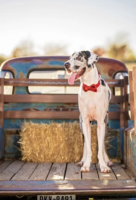 Veterinary Eye Center of Oklahoma Picture 3