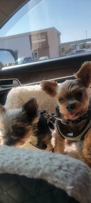 Veterinary Eye Center of Oklahoma Picture 4