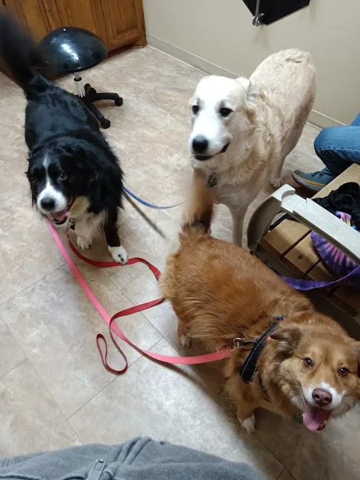 Waterloo Animal Hospital Picture 1