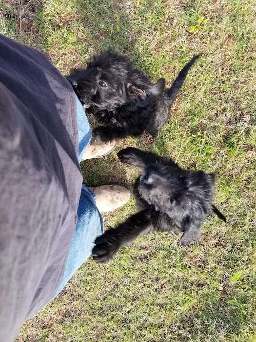 Waterloo Animal Hospital Picture 2