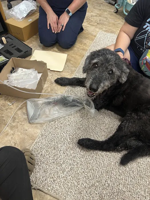 Waterloo Animal Hospital Picture 5