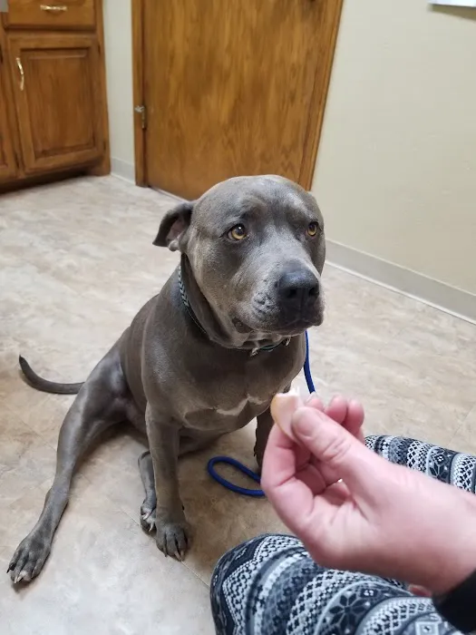 Waterloo Animal Hospital Picture 4