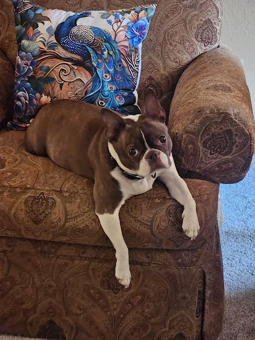 Waterloo Animal Hospital Picture 3