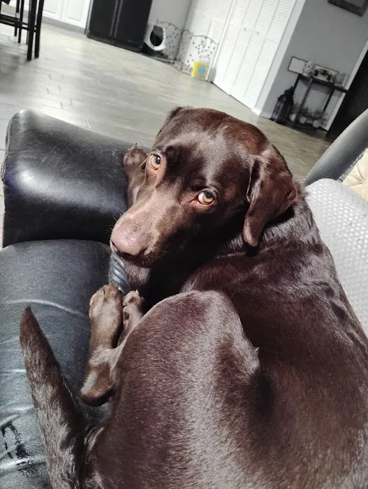 Waterloo Animal Hospital Picture 8