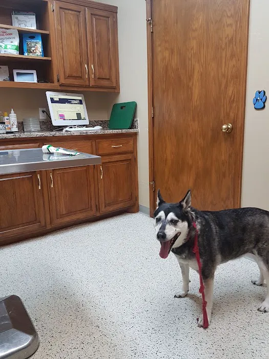 Waterloo Animal Hospital Picture 7