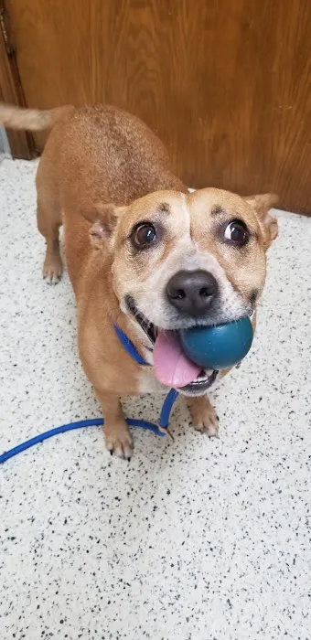 Waterloo Animal Hospital Picture 9