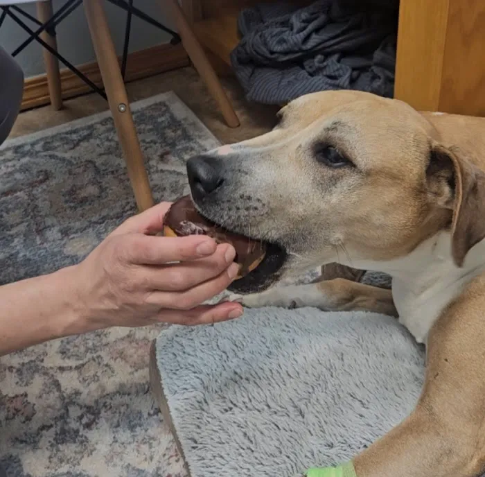 Waterloo Animal Hospital Picture 6