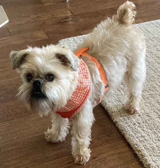 Animal Medical Center I-35 Picture 6