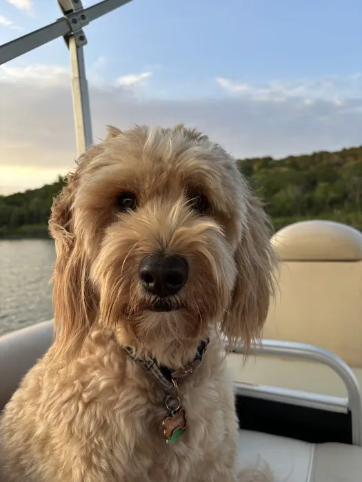 Animal Medical Center I-35 Picture 3