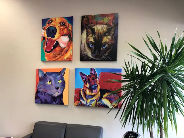 Animal Medical Center I-35 Picture 4