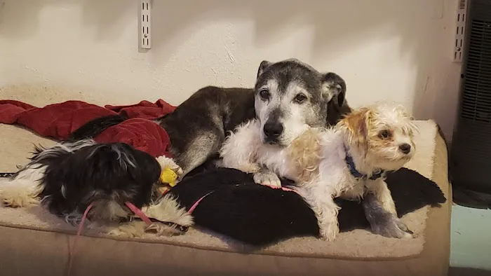 Animal Medical Center I-35 Picture 7