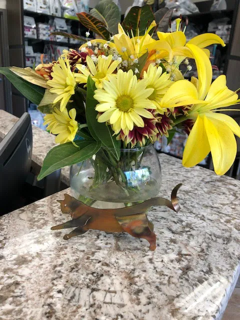 Animal Medical Center I-35 Picture 9