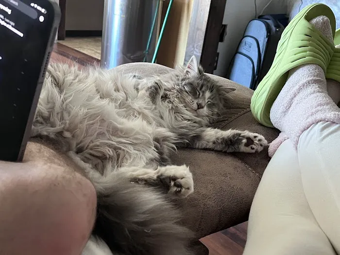 Abri Animal Clinic Picture 2