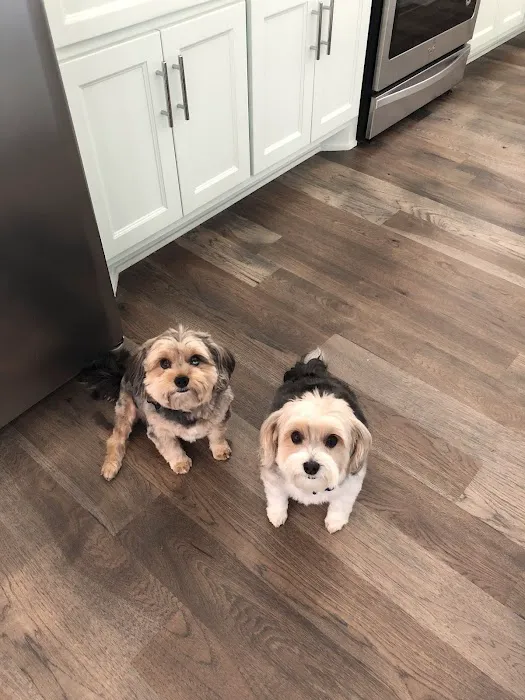 Abri Animal Clinic Picture 5