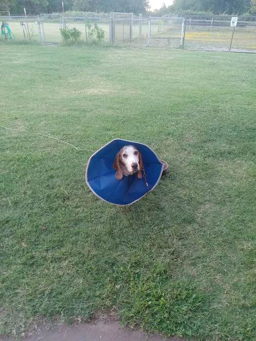 Jones veterinary clinic Picture 3