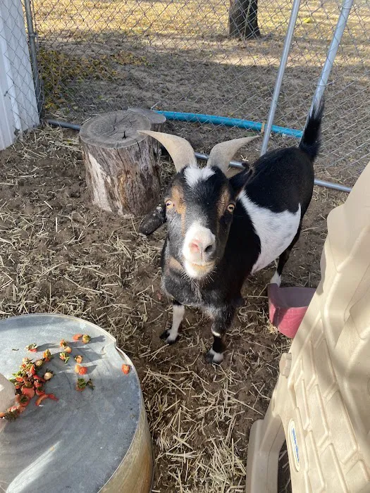 Jones veterinary clinic Picture 7