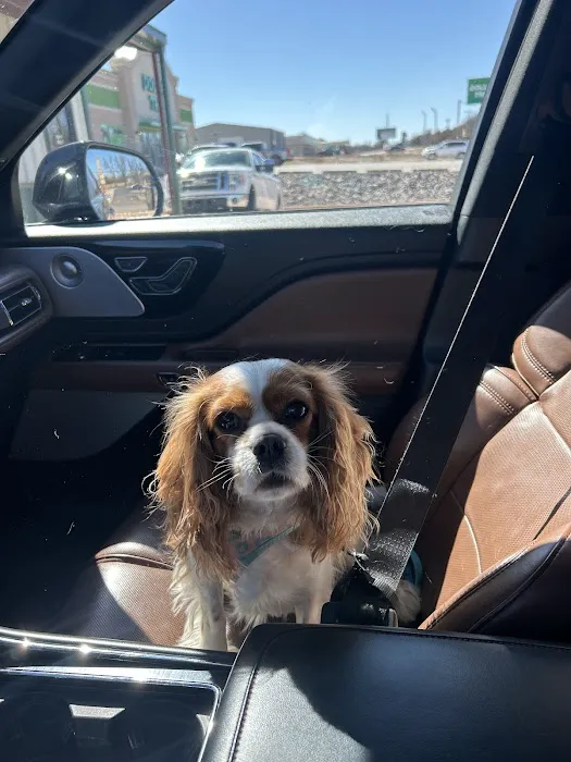 Jones veterinary clinic Picture 8