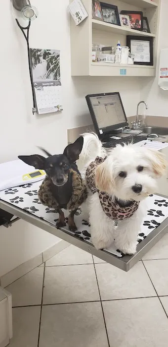 VCA Kickingbird Animal Hospital Picture 3