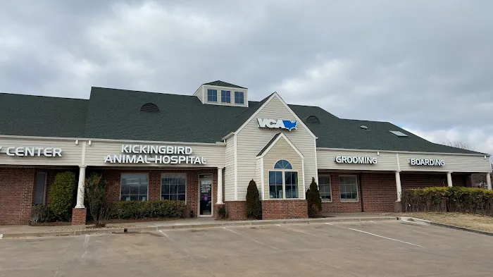 VCA Kickingbird Animal Hospital Picture 7