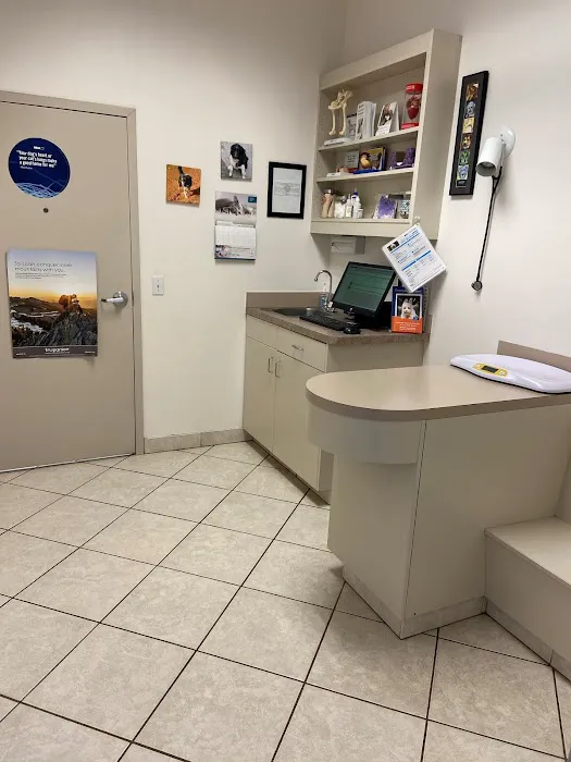 VCA Kickingbird Animal Hospital Picture 6